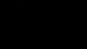 south carolina GIF