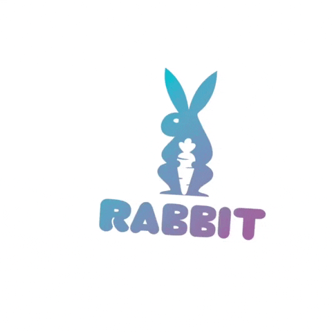 marig rabbit buzosrabbit rabbitbuzos buzosegresados GIF