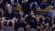 come on yes GIF by ACB