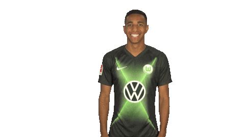 Happy Vfl Wolfsburg Sticker by Bundesliga