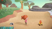 Animal Crossing Switch GIF