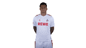 1 Fc Cologne Thumbs Up Sticker by 1. FC Köln