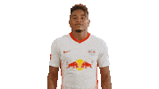 Oh Yeah Yes Sticker by RB Leipzig