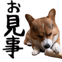 Corgi Wow Sticker