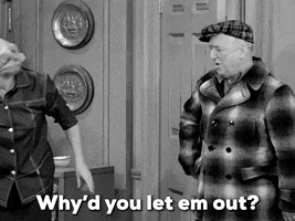 Asking I Love Lucy GIF by Paramount+