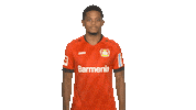Bayer Leverkusen Reaction Sticker by Bundesliga