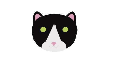 Emotionalpainting giphyupload cat angry instagram Sticker