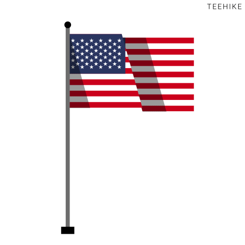 United States Flag GIF by Teehike