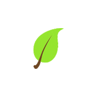 Leaf Sticker by WUNDERFOLKS