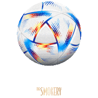 Goal Beach Sticker by The Smokery