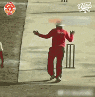 league cricket GIF by Islamabad United