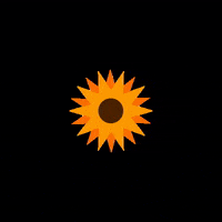 niacreativa_ sun sunflower rotate nia GIF