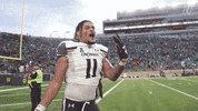 University Of Cincinnati Uc GIF by Cincinnati Bearcats