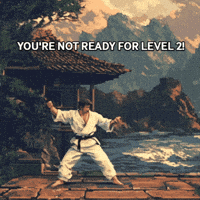 Video Game Karate GIF by Preneura