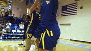 Ncaa Sports GIF by WVU Sports
