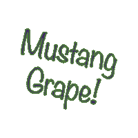 Texas Grape Sticker
