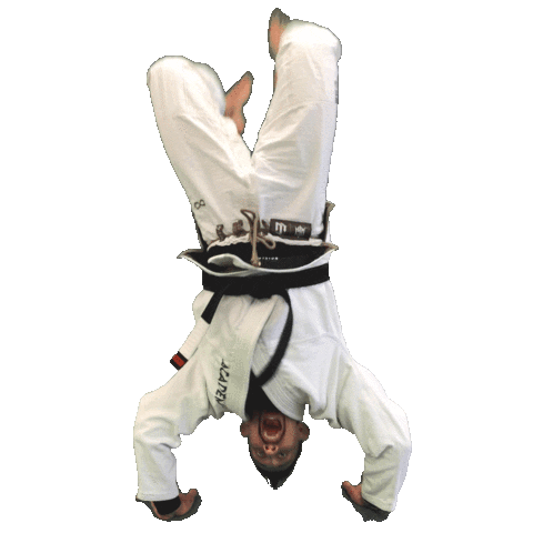 Grappling War Sticker by Academy Jiu-Jitsu