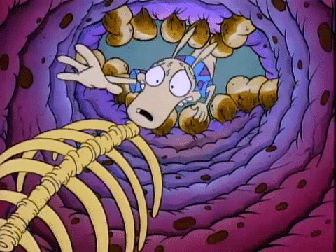 rockos modern life nicksplat GIF