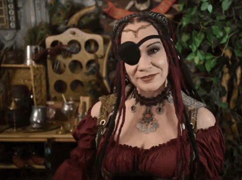 piratesparley pirate pirates parrot polly GIF