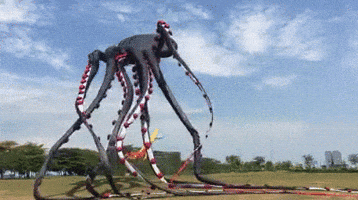 kite GIF
