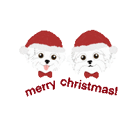 Merry Christmas Love Sticker by HammyandBrody