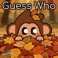 Surprised Hide And Seek GIF by Chimpers