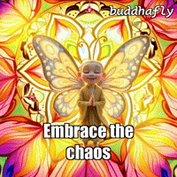 Inner Peace Butterfly GIF by BuddhaFlyJourney