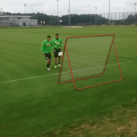 GIF by Borussia Mönchengladbach