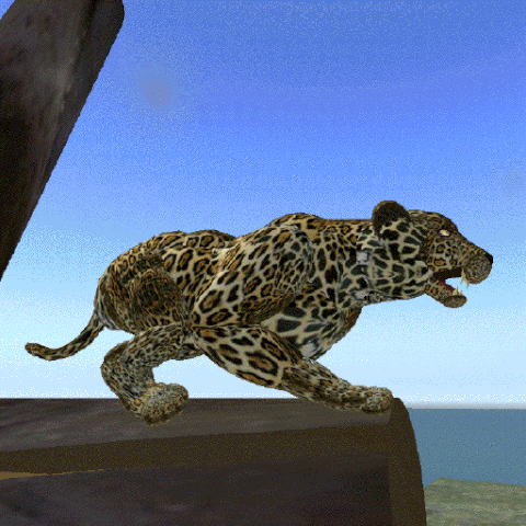 jaguar GIF
