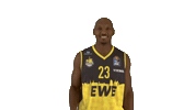 Ewe Baskets Basketball Sticker by EWE Baskets Oldenburg
