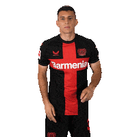 Bayer 04 Win Sticker by Bayer 04 Leverkusen
