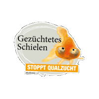 Sticker by akademievet