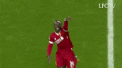 Premier League Football GIF by Liverpool FC