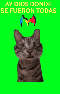 Buscando A Bailar GIF by Murcianys LLC