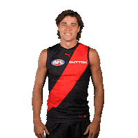 Football Sport Sticker by Essendon FC