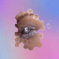 internet feels GIF by Blake Kathryn