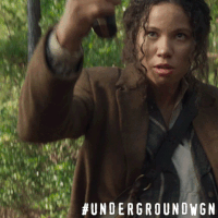 wgn america drama GIF by Underground