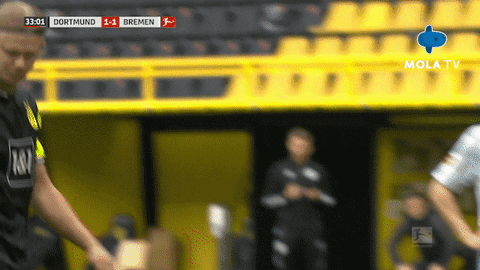 Germany Football GIF by MolaTV