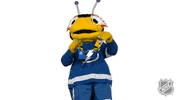 Ice Hockey Sport GIF by NHL