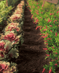 Garden Gnome GIF by PES