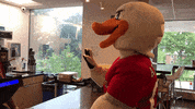 FollowStevens yes coffee order attila GIF