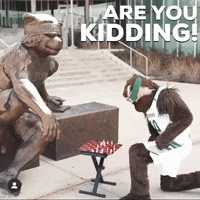 Angry Utah Valley GIF by Utah Valley University