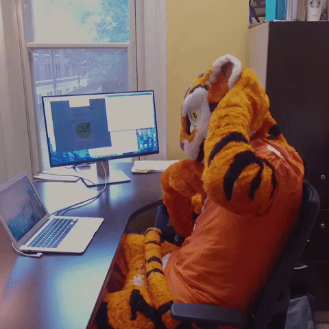 clemson university GIF