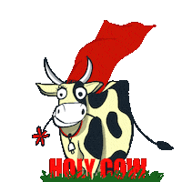 Instagram Love Sticker