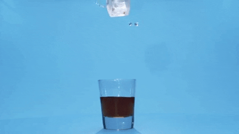 petapixel giphygifmaker GIF