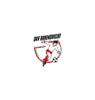 tweededivisie Sticker