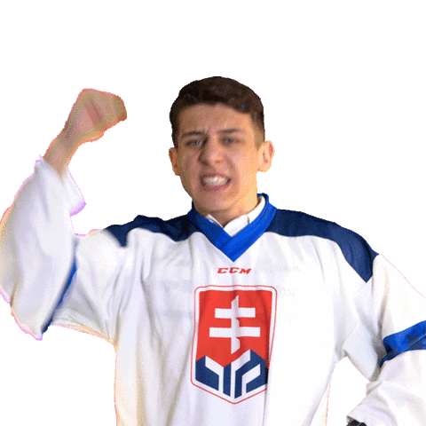 hockey yes Sticker by Pilsner Urquell