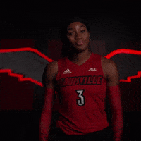 University Of Louisville Volleyball GIF by Louisville Cardinals