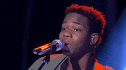live tv fox GIF by American Idol