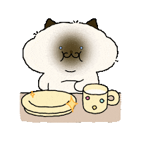 ggoburang_cat cat 고양이 하트 브이 Sticker